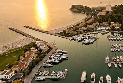 Main_Image_SANI